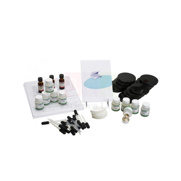 Enzymes In Seeds Kit